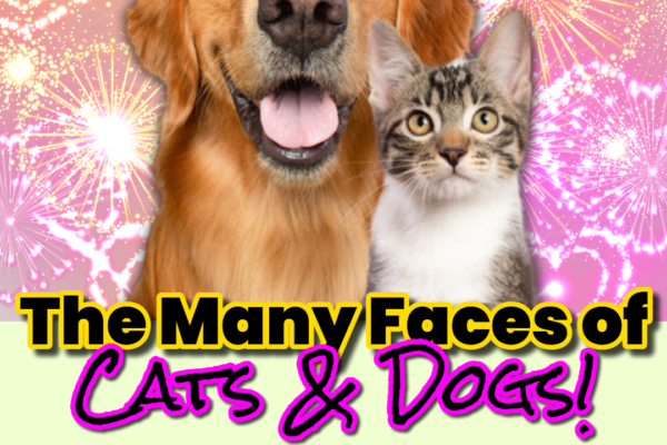Animal Rights Week Contest: Show Off Your Pet’s Best Moments!